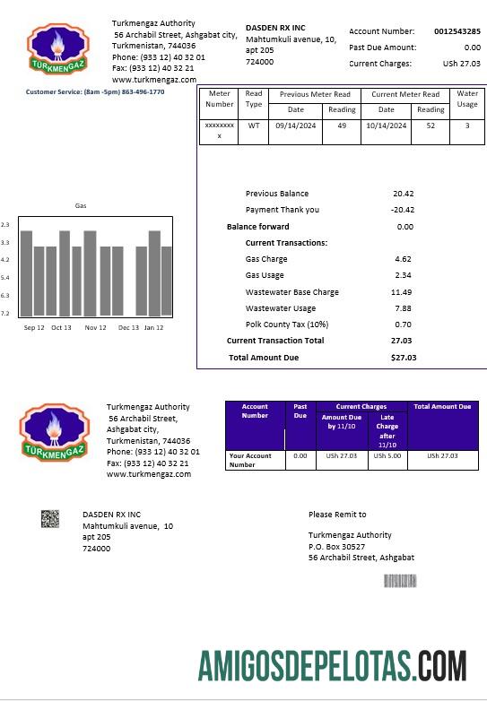 realista Modelo de fatura de serviços públicos comerciais do Turcomenistão Turkmengaz em formatos Word e PDF